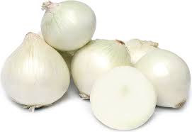 CEBOLA                                            