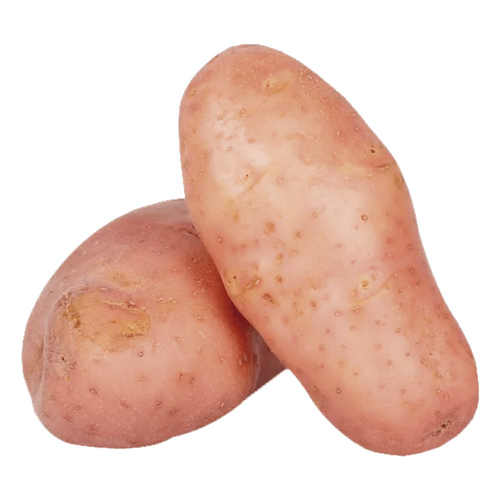 BATATA                                            