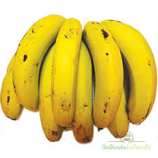 BANANA CATURA                                     