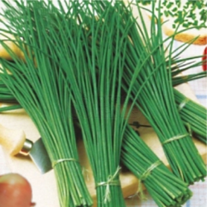 TEMPERO VERDE CEBOLINHA                           